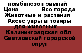 комбинезон зимний › Цена ­ 1 300 - Все города Животные и растения » Аксесcуары и товары для животных   . Калининградская обл.,Светловский городской округ 